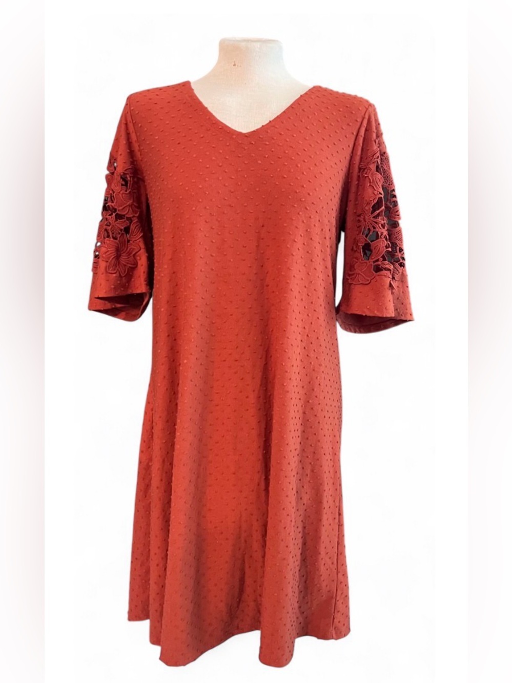 Women’s Rust V-Neck Swiss Dot Shift Dress with Floral Lace Sleeves